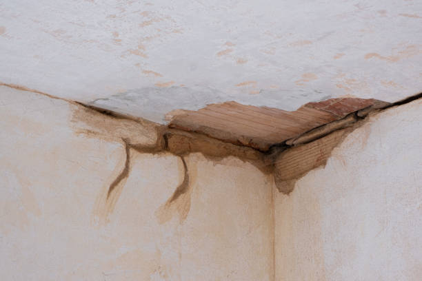 Best 24-hour water damage restoration  in Horicon, WI