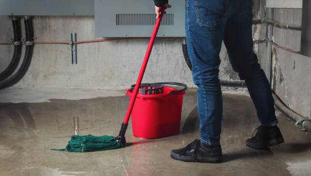 Best Basement water damage restoration  in Horicon, WI